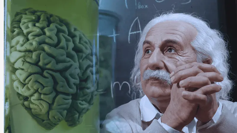 neuro energizer science
